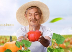 企業網站制作農業信息網站制作的重要性及現狀分析