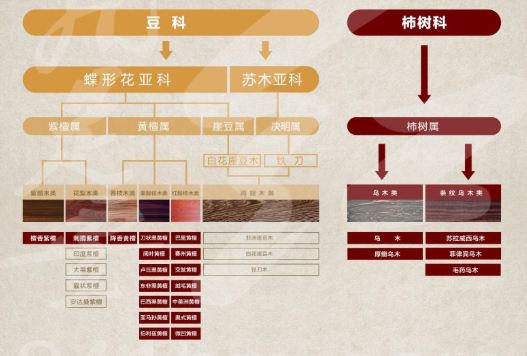 網站導航