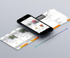 app開發公司在開發app的時候都需要配備哪些專業人員