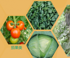 簽約燕*（朝陽）農業科技股份有限公司朝陽網站制作價格*950