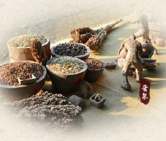 簽約貴州大酒廠畢節網站制作價格*890