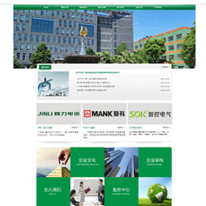 黑龍江網站建設莫西*實業電器有限公司官網發布