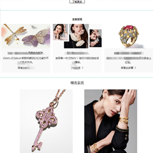 西藏網站建設ta**ki珠寶官網發布