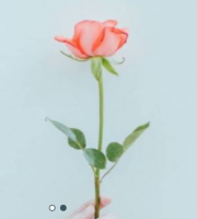 簽約萬*源花藝有限公司陵水網站制作價格*899