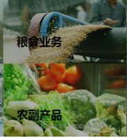 簽約現代**農業集團有限公司保亭網站制作價格*999