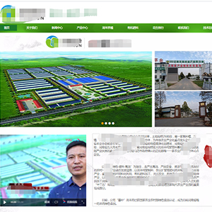 保亭網站建設現代**農業集團有限公司官網發布