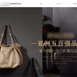 官網發布樂東網站建設菲*皮具有限公司