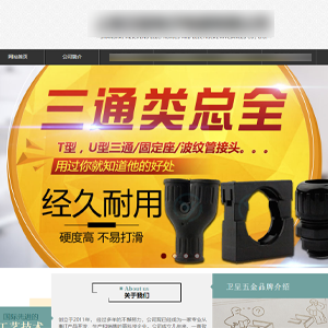 官網發布江西網站建設泰*電子電器有限公司