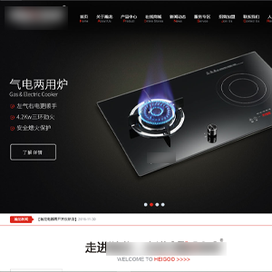 遼寧網(wǎng)站建設(shè)瀚*電子電器有限公司展示型案例作品