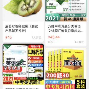 購物商城小程序開發項目分析蘇幕遮的小店