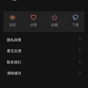 今夜壁紙美圖小程序開發創意設計欣賞