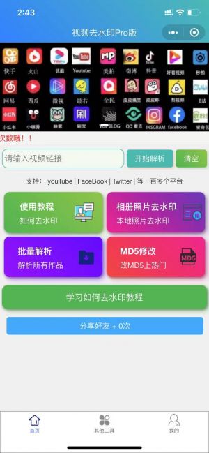 視頻去水印Pro版小程序設計圖1