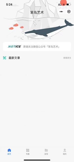 笨鳥藝術小程序設計圖1