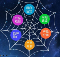 營(yíng)銷型網(wǎng)站的特點(diǎn)和作用是什么？