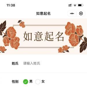 親子小程序制作項目分析如意起名寶寶詩詞取名字