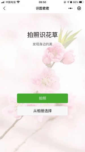 腦筋急轉彎題目大全小程序設計圖2