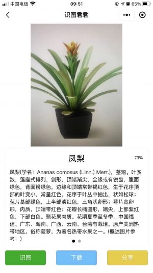 腦筋急轉彎題目大全小程序設計圖3