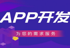 APP定制開發(fā)公司詳談app開發(fā)需要注意的幾點