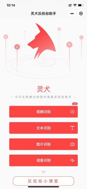 媒體公眾號開發設計分析【今日頭條】