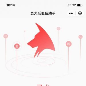 媒體公眾號開發設計分析【今日頭條】