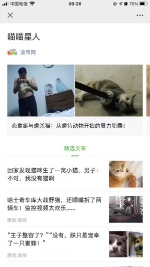 上海微信公眾號(hào)開發(fā)【波奇網(wǎng)】