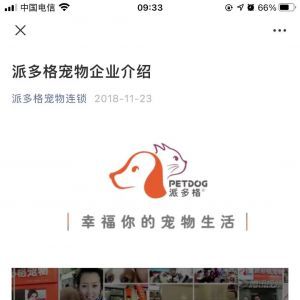 寵物公眾號開發_【派多格寵物】公眾號的企業類型