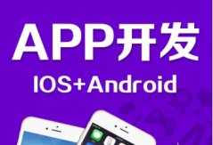 一個手機app開發的大體步驟是哪些