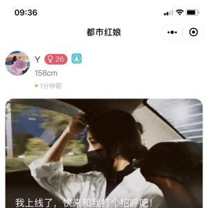 情感公眾號開發【中國紅娘網】