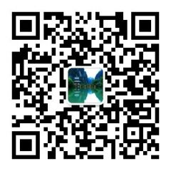 靖西百事通公眾號二維碼