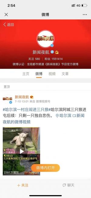 黑龍江公眾號開發(fā)_【新聞夜航】公眾號圖標