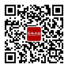 紅動設計網公眾號二維碼