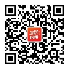 宜居欽州公眾號二維碼