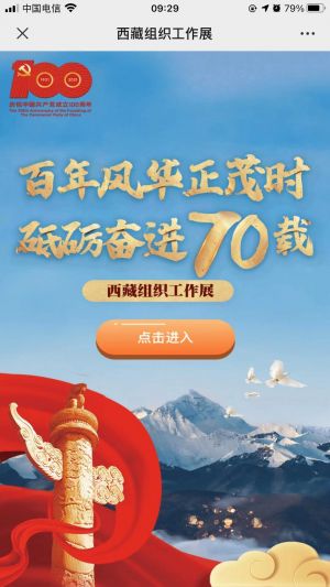 【西藏日報】公眾號的企業(yè)類型_拉薩公眾號開發(fā)