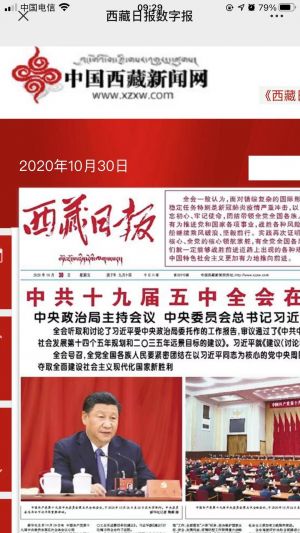 【西藏日報】公眾號的企業(yè)類型_拉薩公眾號開發(fā)