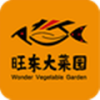 重慶APP開發公司創意設計欣賞-旺東大菜園