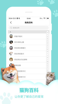 狗語(yǔ)翻譯器-娛樂(lè)消遣APP定制開(kāi)發(fā)分析