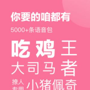語(yǔ)音包-游戲輔助APP定制開(kāi)發(fā)分析