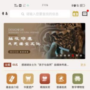 實用工具APP開發項目分析-數字東方