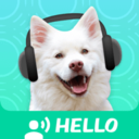 欣賞泰安APP開發(fā)公司-狗語翻譯器