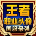 【王者職業(yè)頭像掛件】賀州小程序開發(fā)項目分析