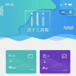 工具小程序開發_【雙子工具】小程序的圖標
