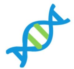 設計欣賞【智慧醫生，基因與靶向藥信息查詢】密云小程序開發