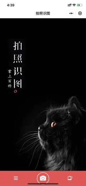 拍照識圖小程序設計圖2