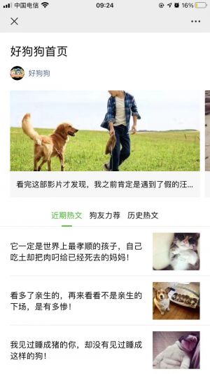 海淀微信公眾號開發(fā)方案解刨【好狗狗】