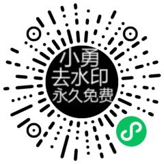 小勇去水印小程序二維碼
