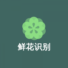【鮮花識別】寧夏小程序制作創意設計欣賞