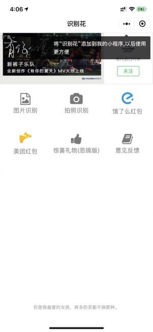 鮮花識別小程序設(shè)計圖1