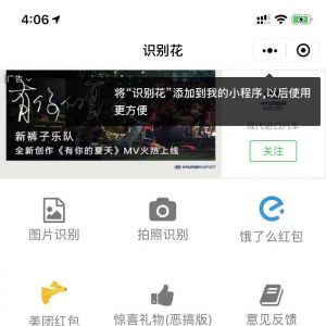 工具小程序制作【鮮花識別】
