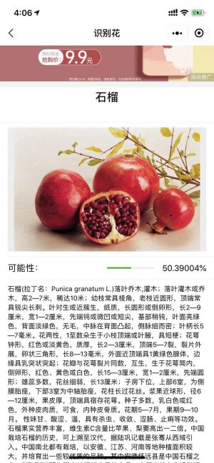鮮花識別小程序設(shè)計圖2