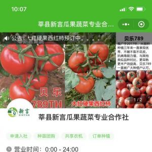 【新言果蔬】公眾號圖標_購物商城公眾號開發